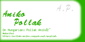 aniko pollak business card